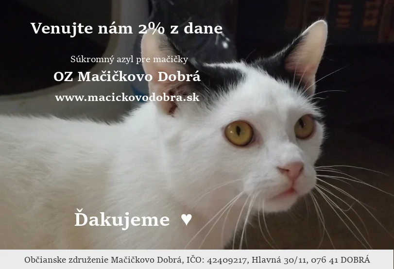 Cyrilko, adoptovaný vo februári 2018 do Viedne